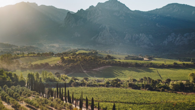 Domaine Castello di Baricci