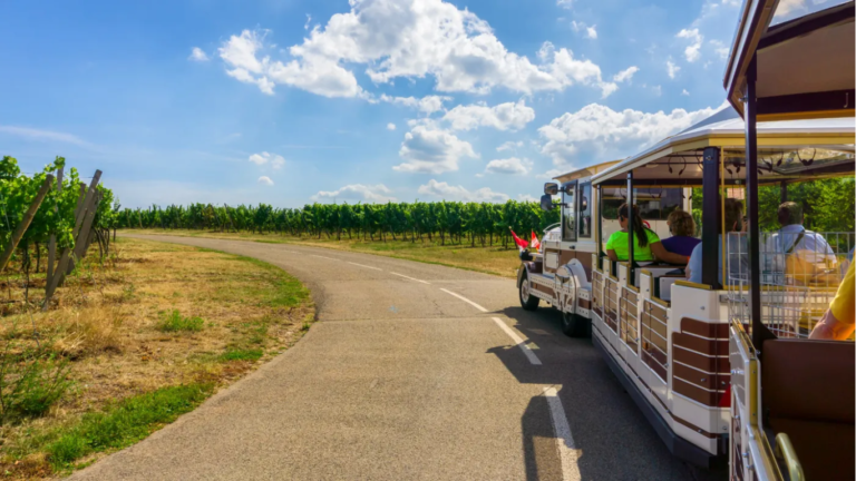 Visite de Cave à Champagne avec Petit Train