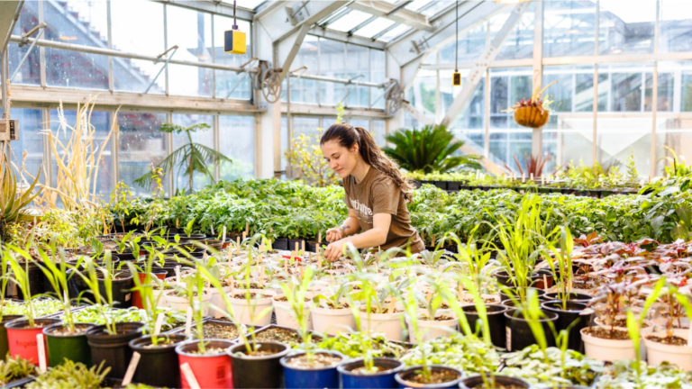 business opportunities in horticulture